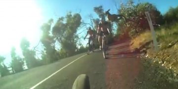 VÍDEO: Canguru passa por cima de ciclista na Austrália